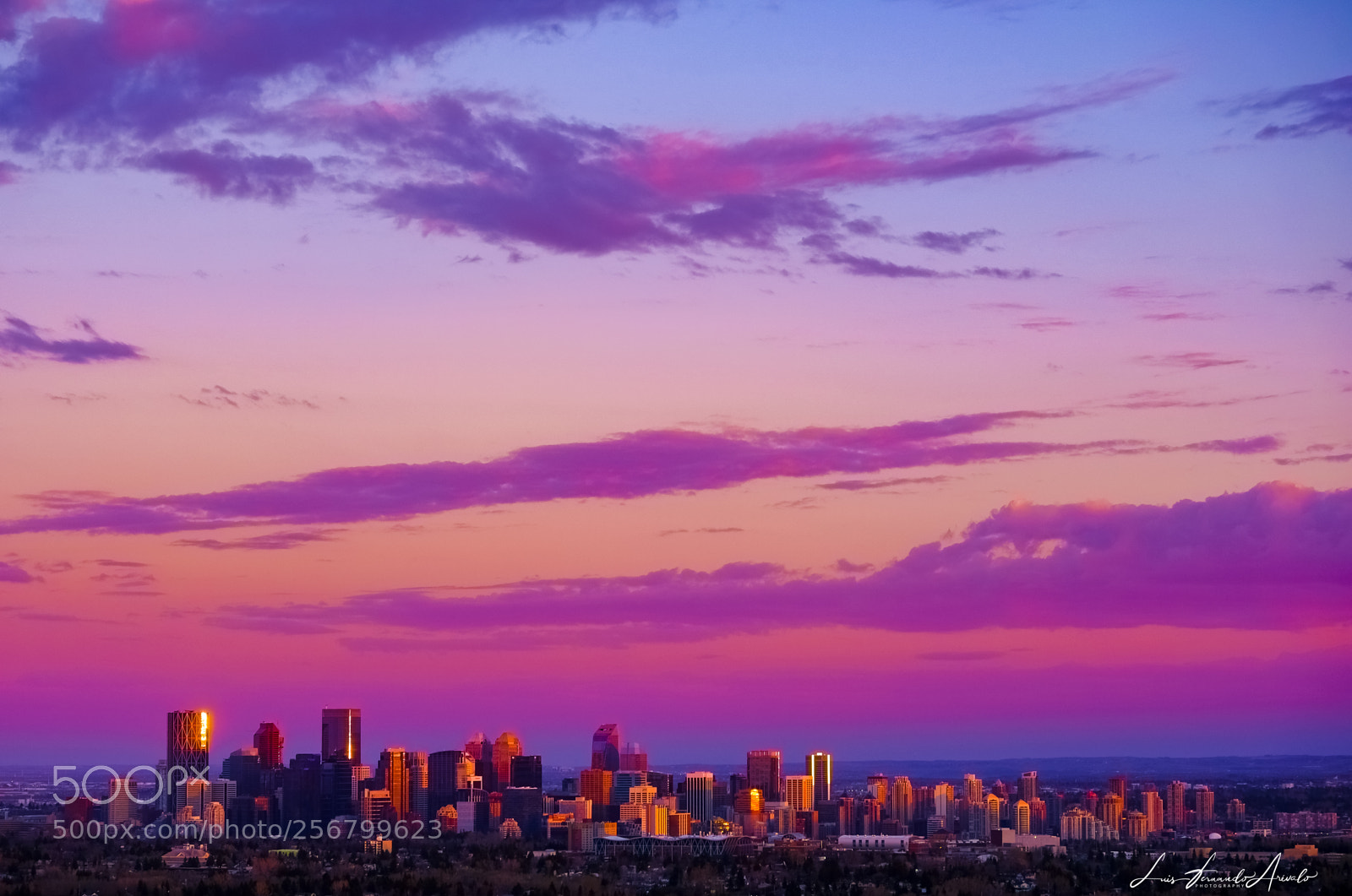 Fujifilm X-T2 sample photo. Calgary photography