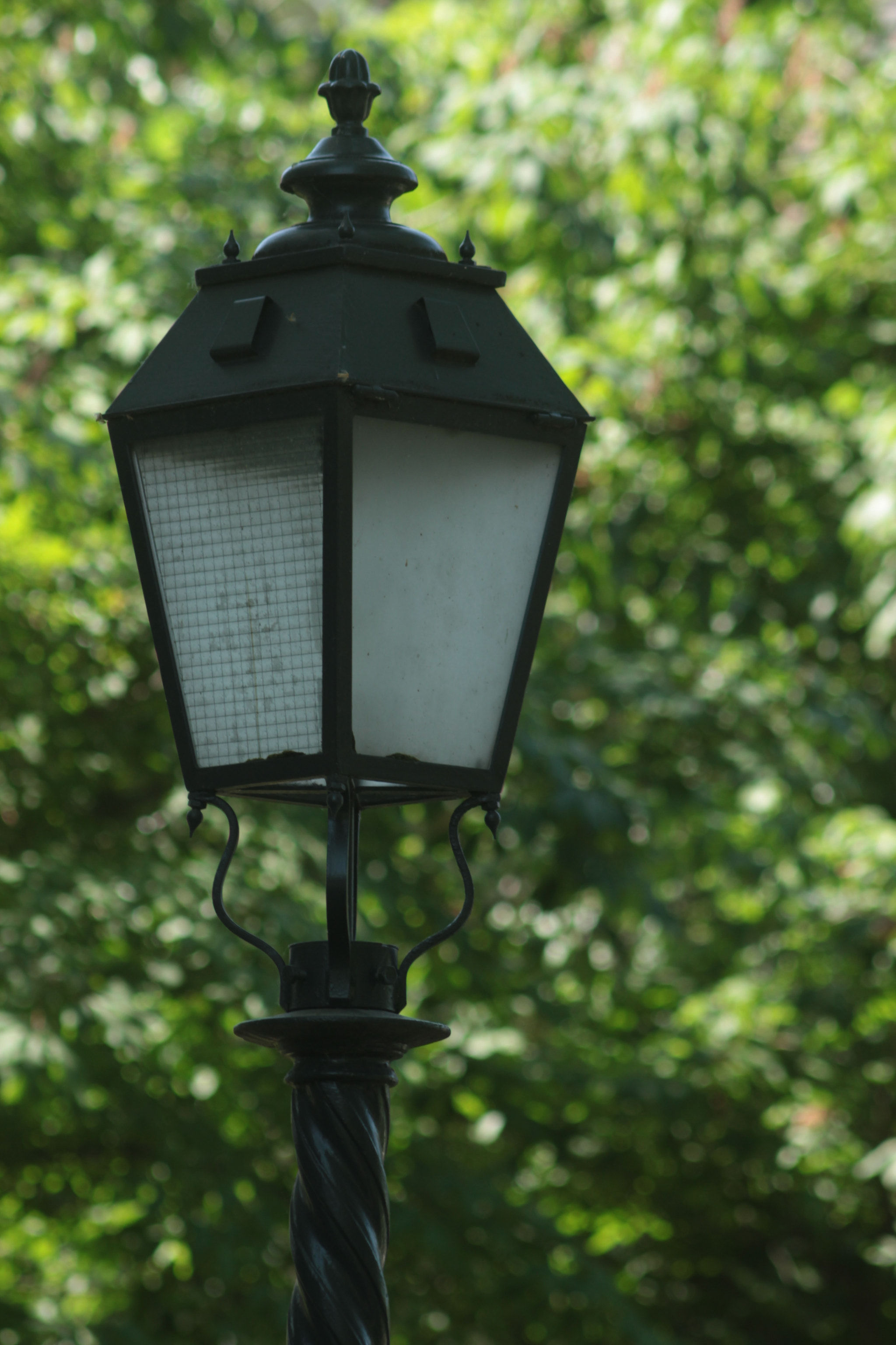 Canon EF 50-200mm f/3.5-4.5 sample photo