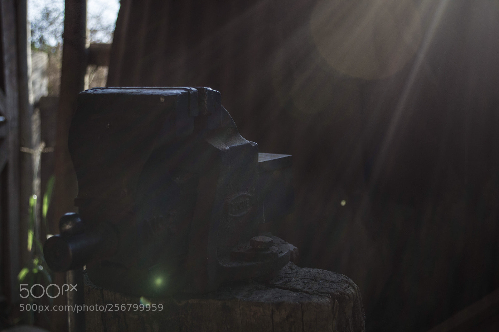 Nikon D3100 sample photo. Junke photography