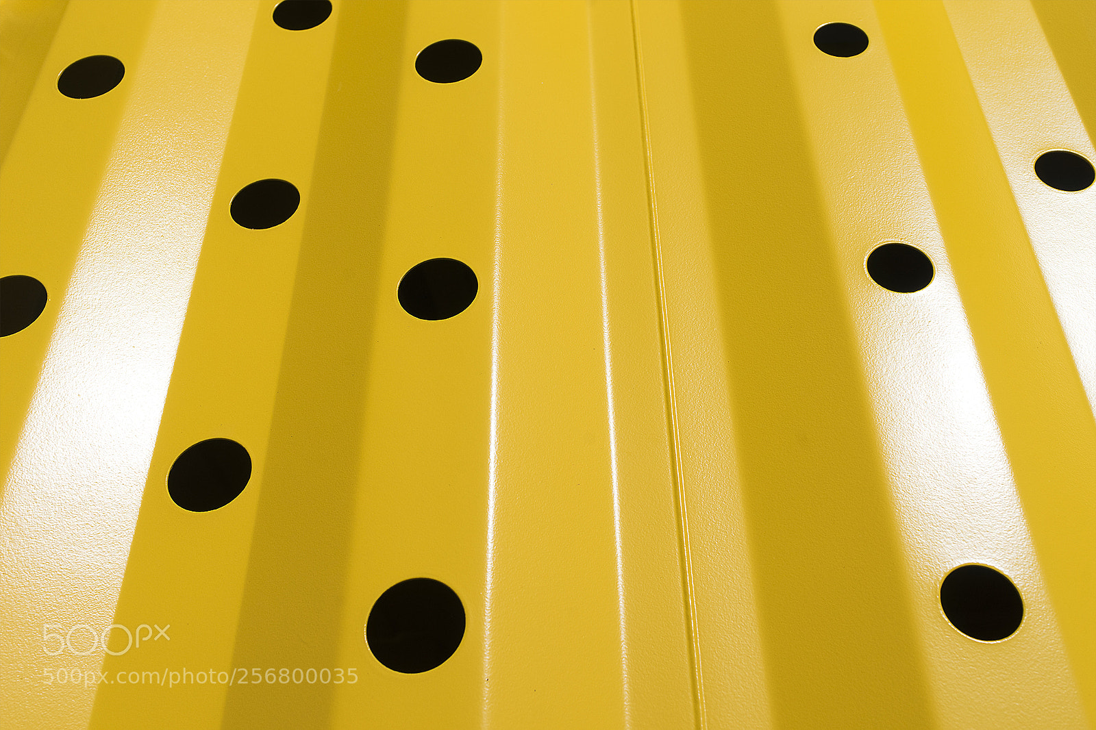 Sony a7 sample photo. Yellow photography