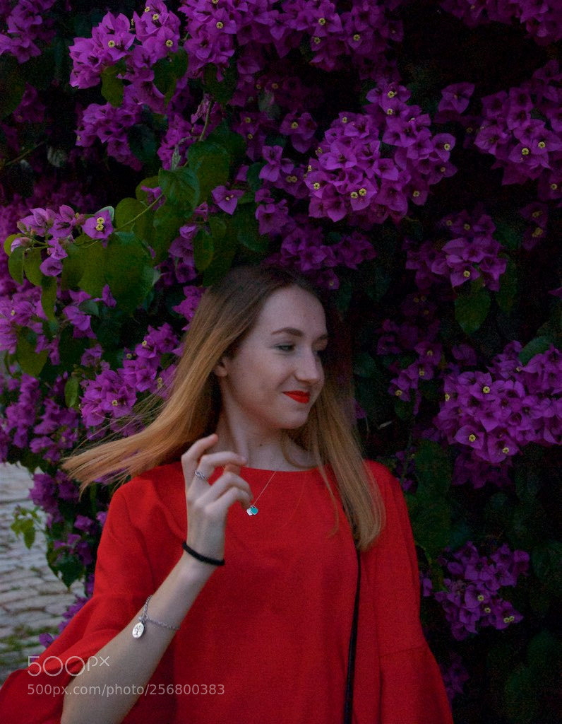 Nikon D60 sample photo. Version photography