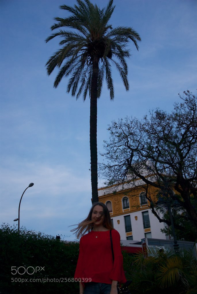 Nikon D60 sample photo. Version photography