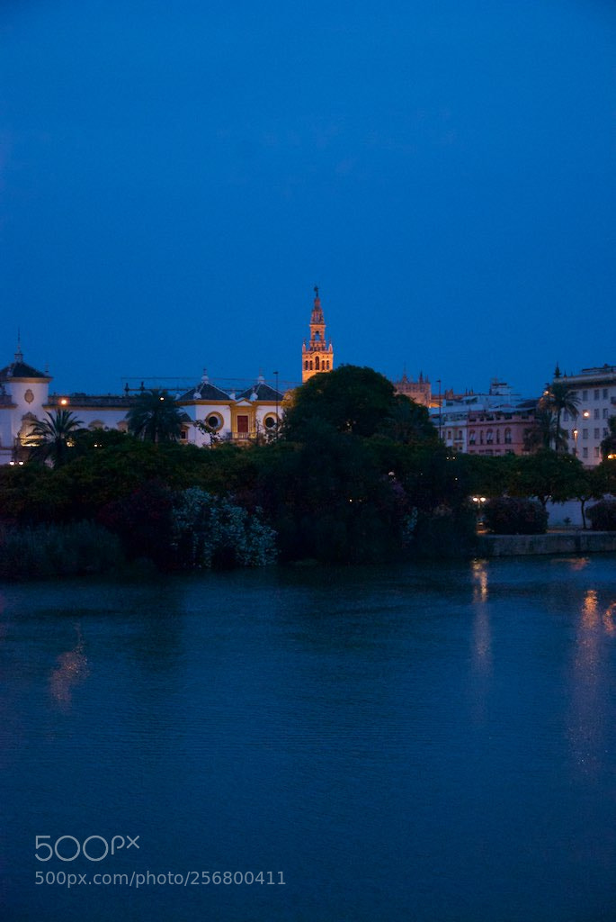 Nikon D60 sample photo. Version photography
