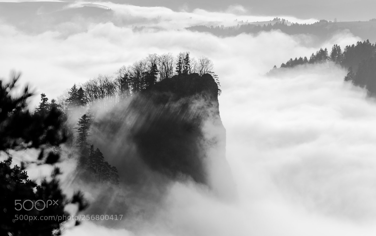 Nikon D7100 sample photo. Misty rock photography