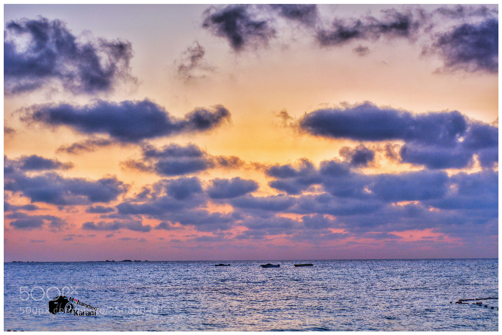 Nikon D7100 sample photo. Untitled photography