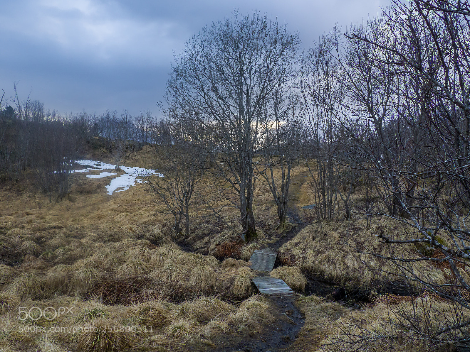 Olympus OM-D E-M10 II sample photo. Wet path photography