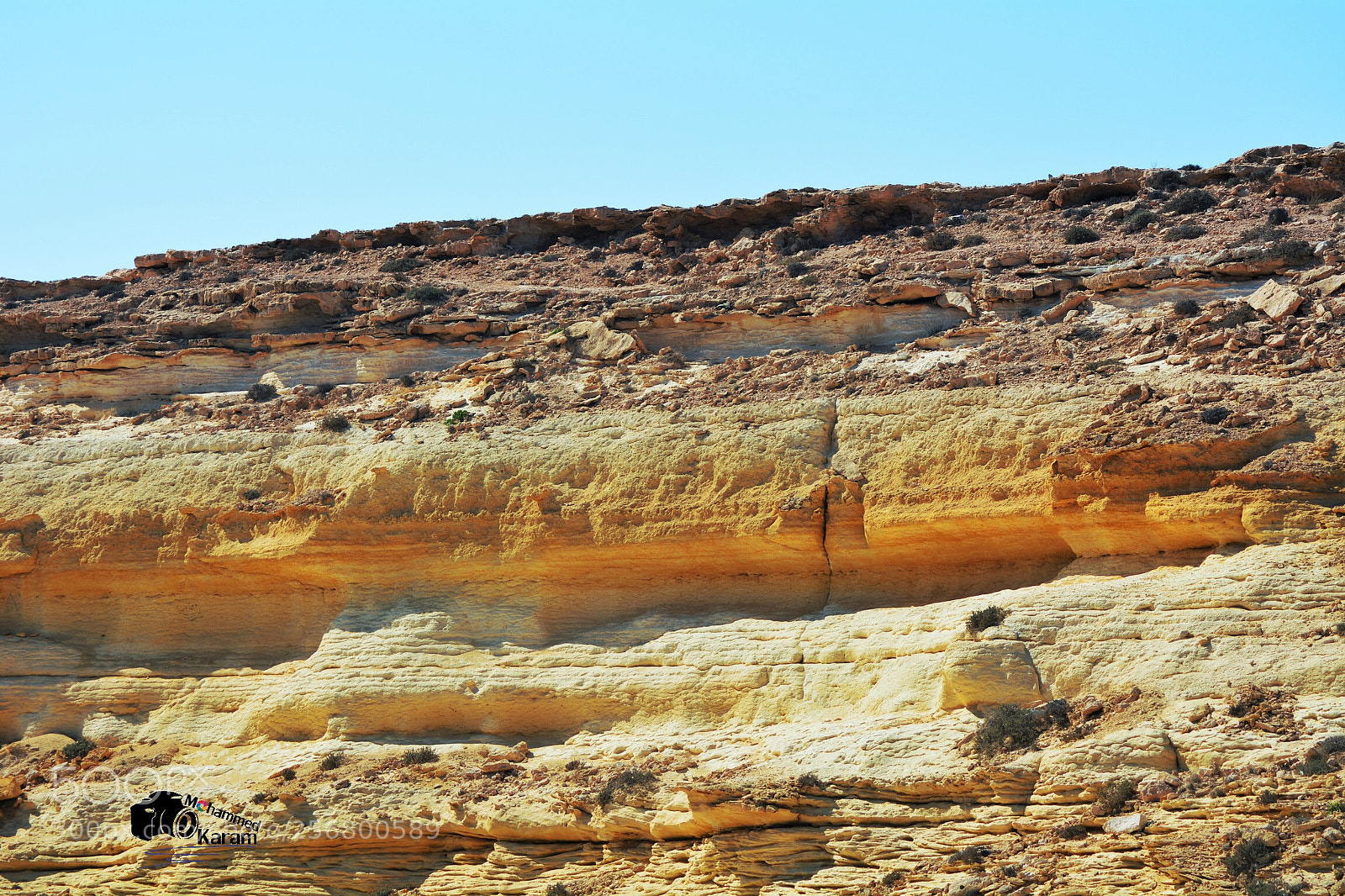 Nikon D7100 sample photo. Untitled photography