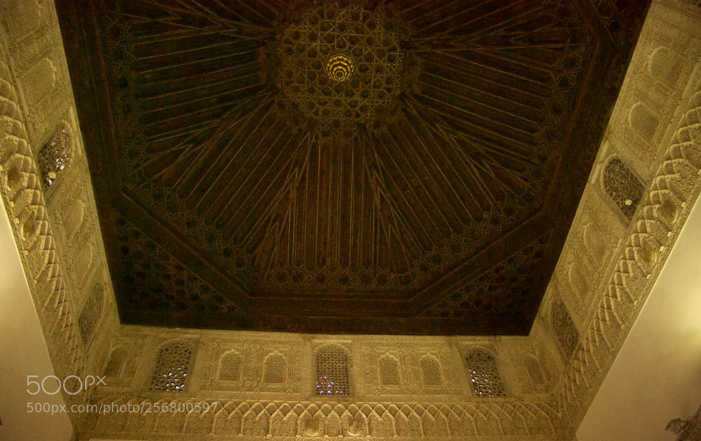 Nikon D60 sample photo. Version photography