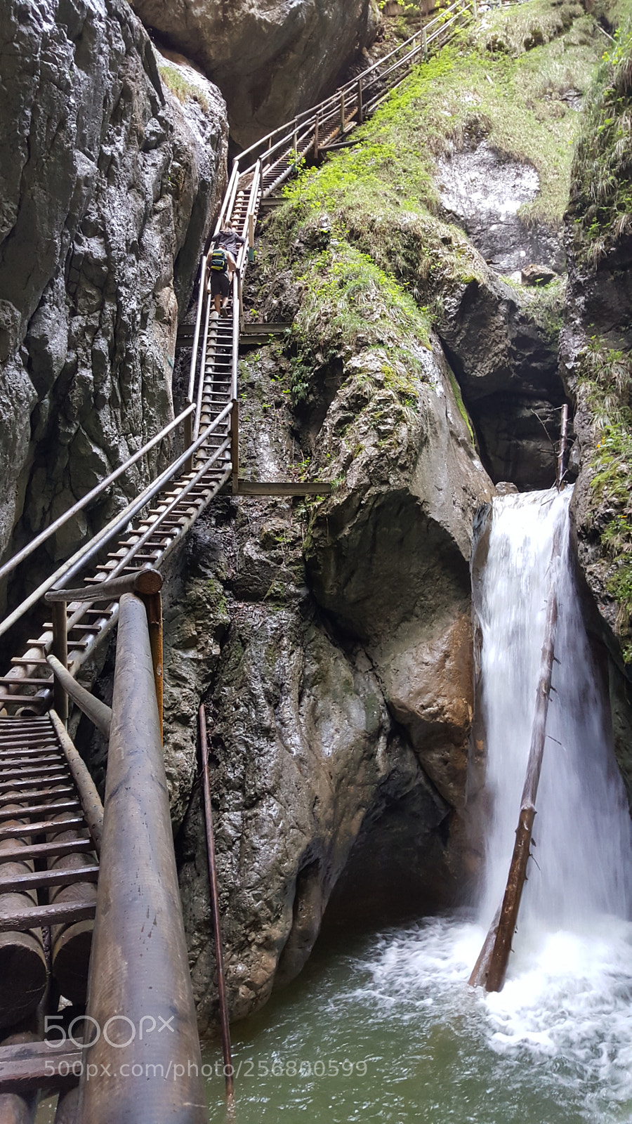 Samsung GALAXY S6 edge sample photo. Untitled photography