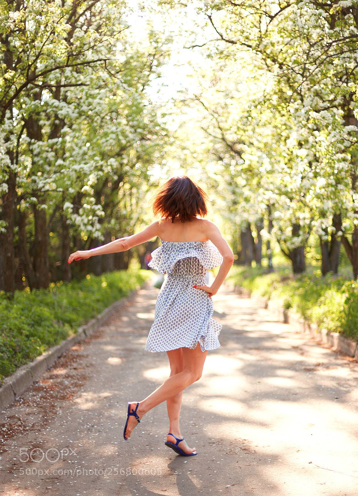 Canon EOS 6D sample photo. Dance in the garden photography