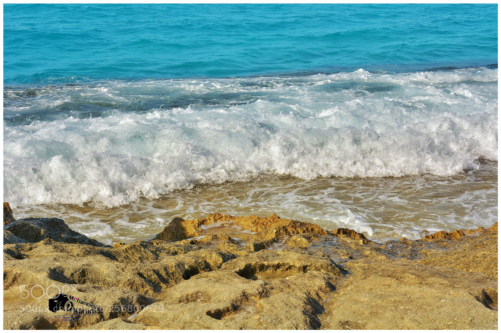 Nikon D7100 sample photo. Untitled photography