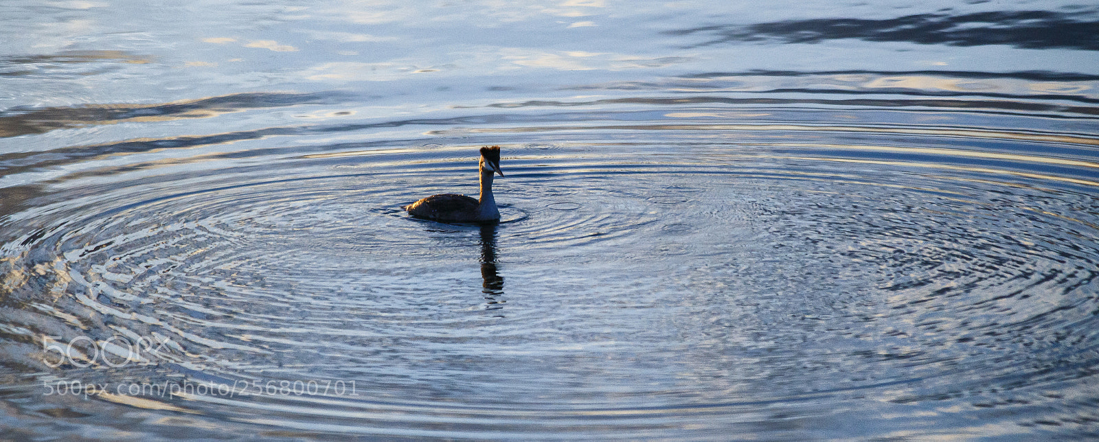 Canon EOS 6D sample photo. Looking for the center photography