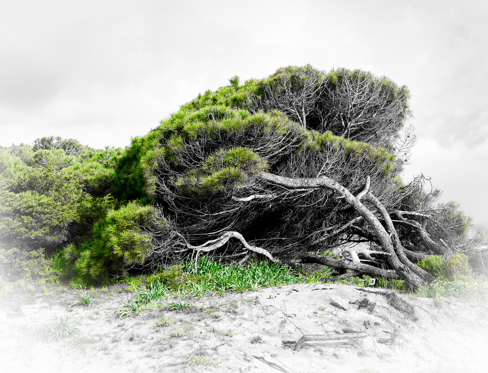 Canon EOS 6D sample photo. Untitled photography