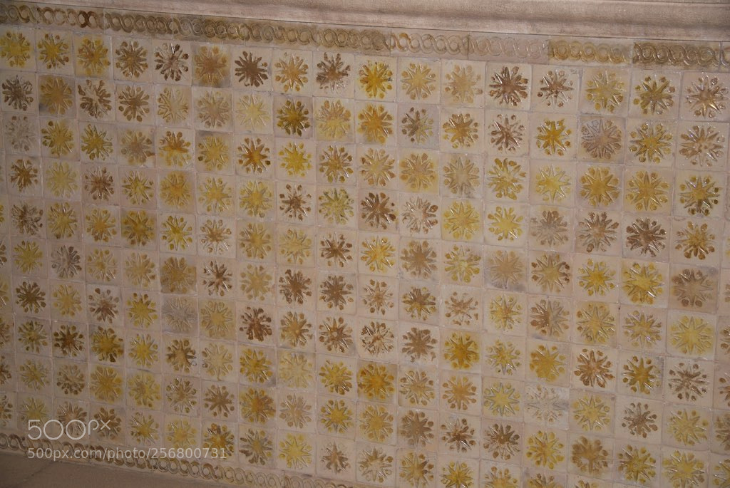 Nikon D60 sample photo. Version photography