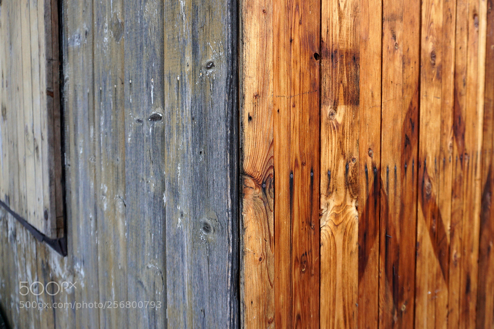 Sony a6000 sample photo. Wood photography