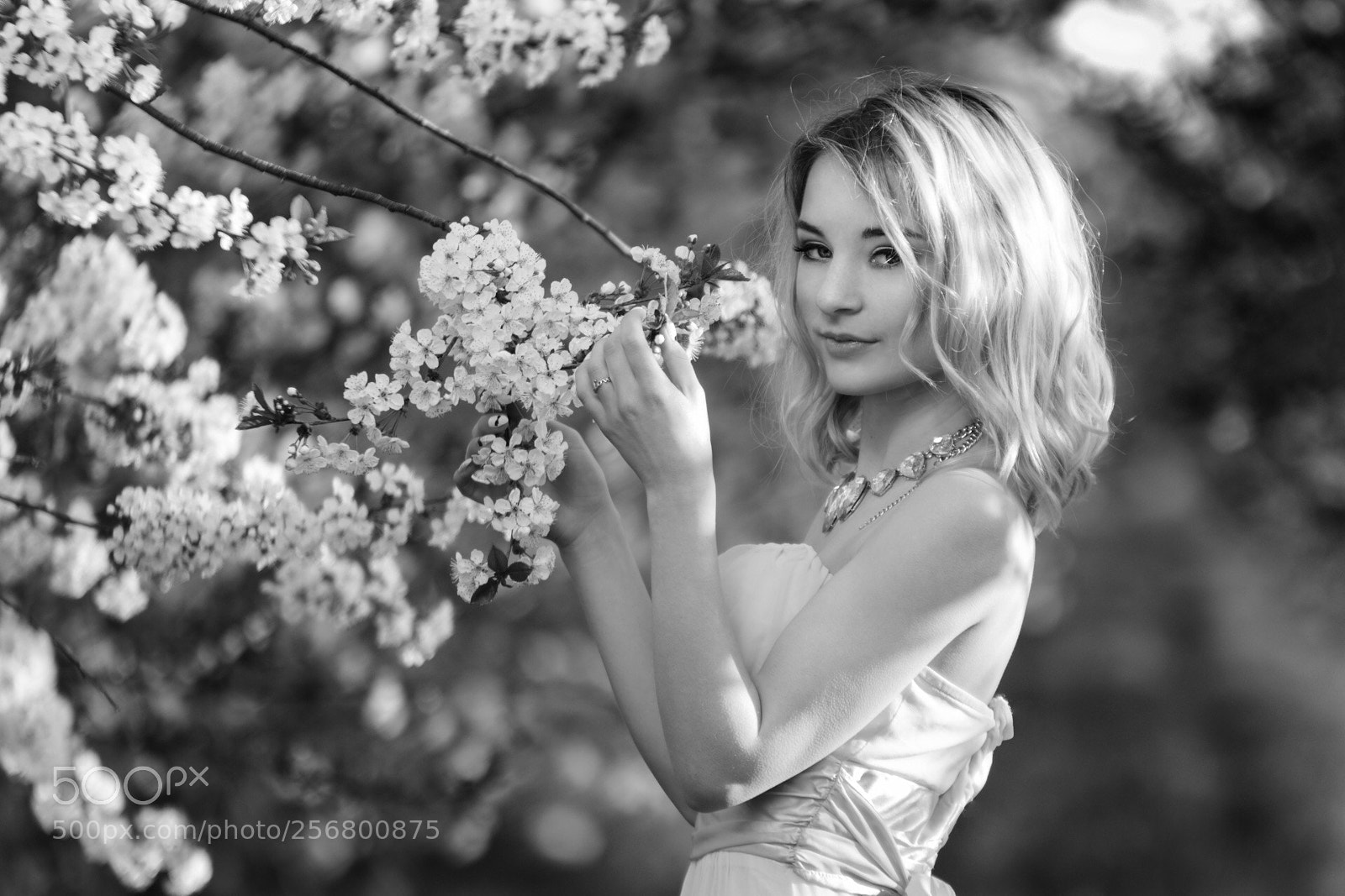 Nikon D7200 sample photo. Kinia - 8 photography