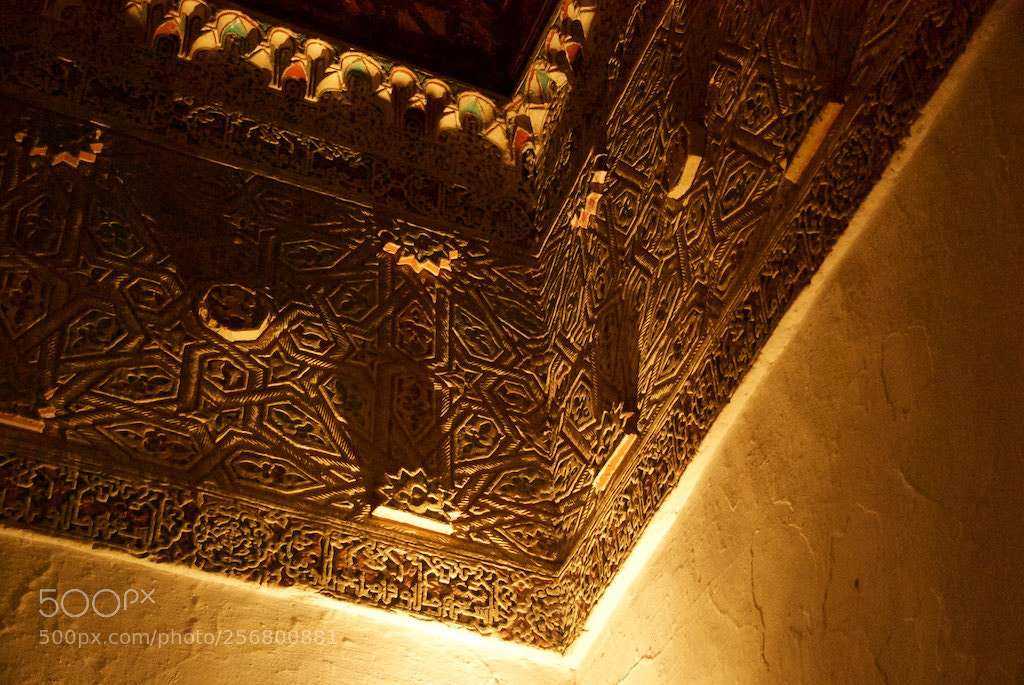 Nikon D60 sample photo. Version photography