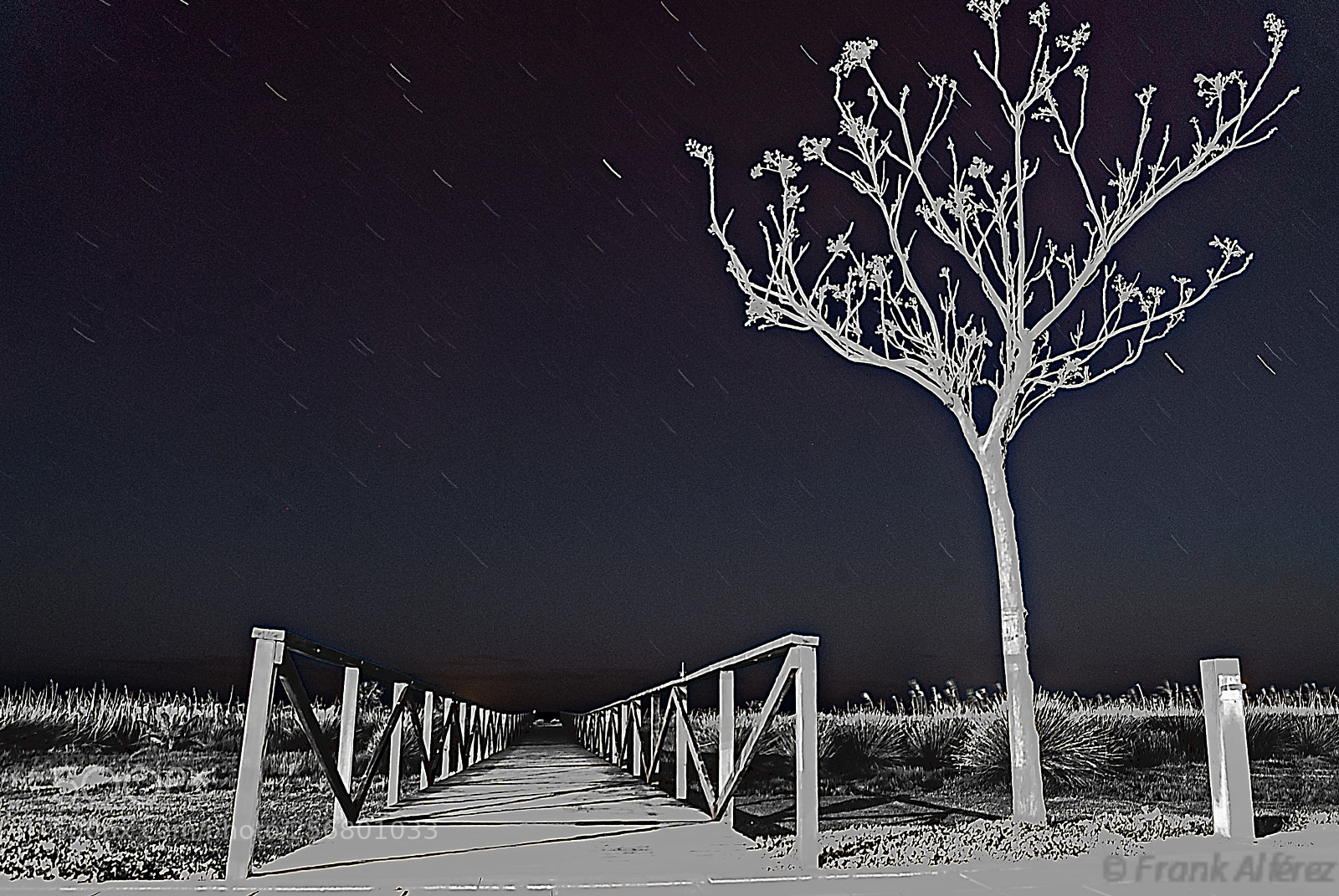Nikon D3000 sample photo. Caida de estrellas-falling stars photography