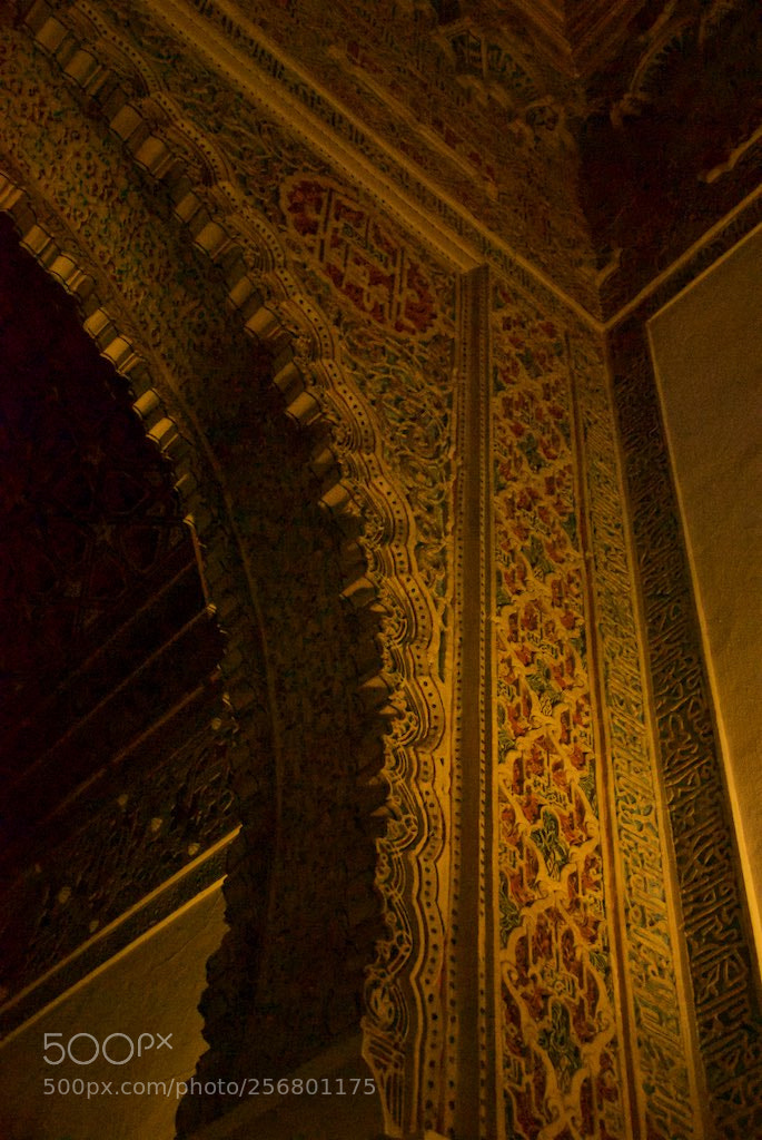 Nikon D60 sample photo. Version photography