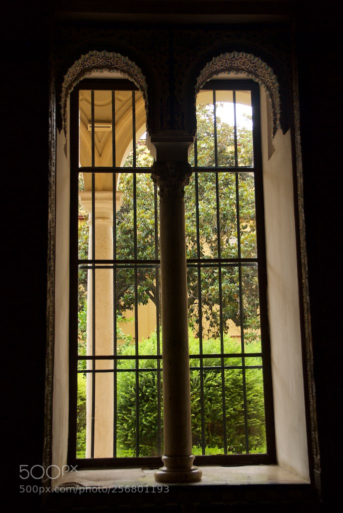 Nikon D60 sample photo. Version photography