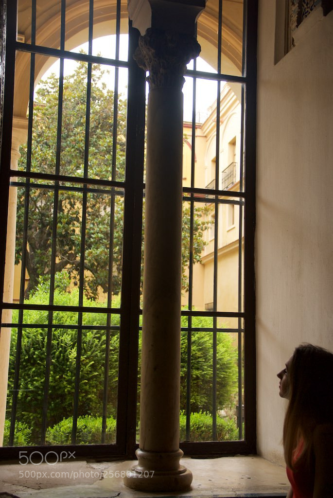Nikon D60 sample photo. Version photography