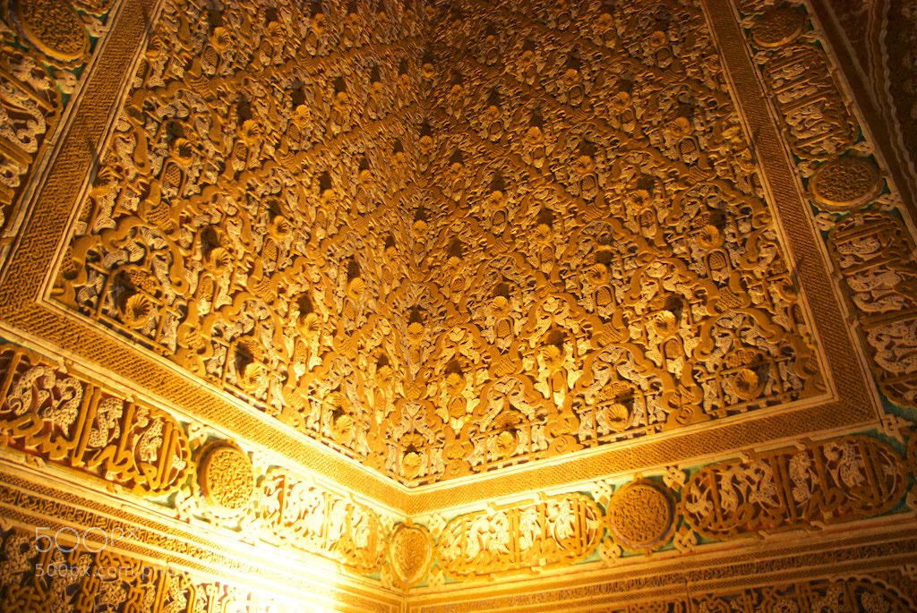 Nikon D60 sample photo. Version photography