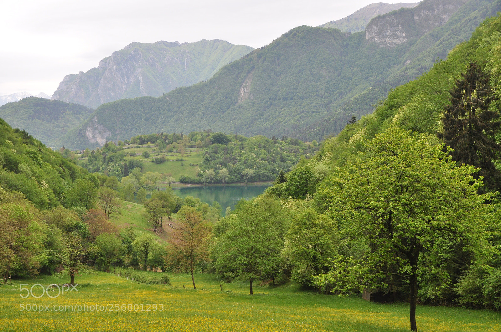 Nikon D5000 sample photo. Hike to lago di photography