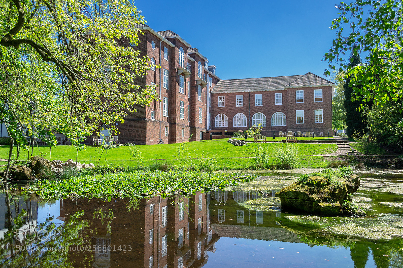 Nikon D3100 sample photo. The rare british sun photography