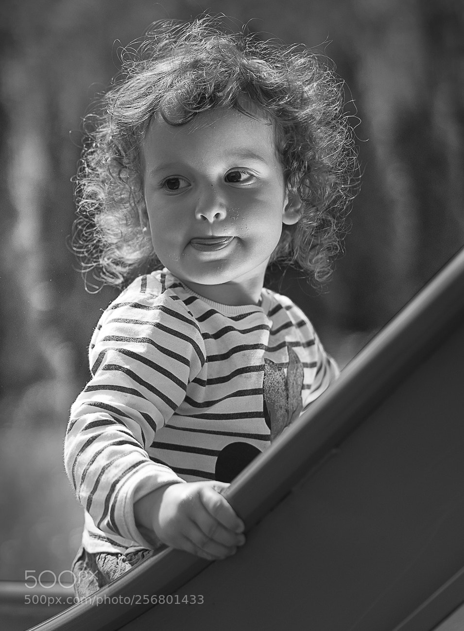 Sony a7 II sample photo. Dsc photography