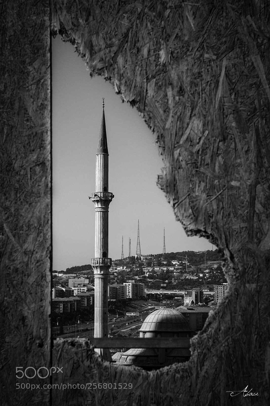Fujifilm X-T2 sample photo. Natürlicher rahmen photography