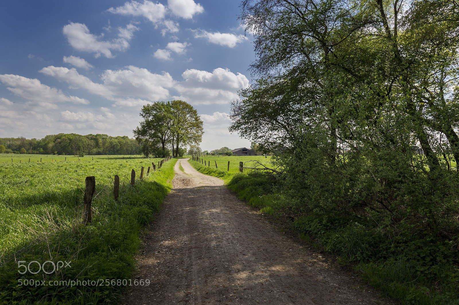 Canon EOS 6D sample photo. Niederrhein | lower rhine region photography