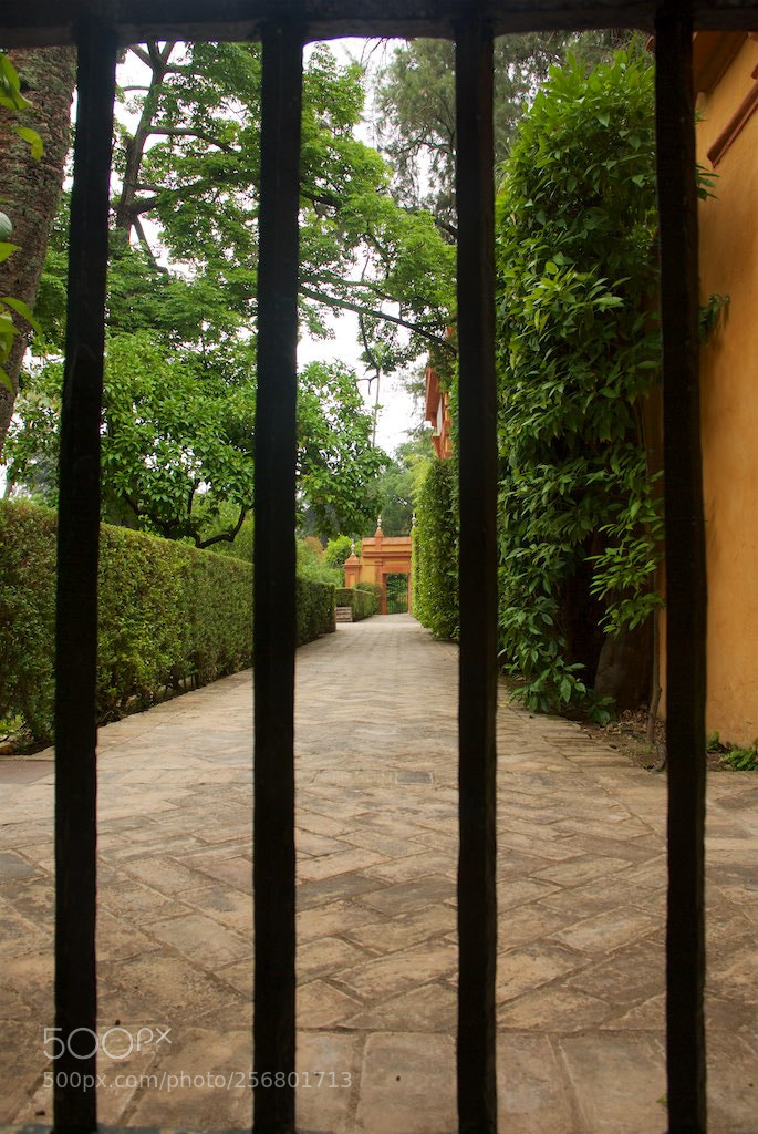 Nikon D60 sample photo. Version photography
