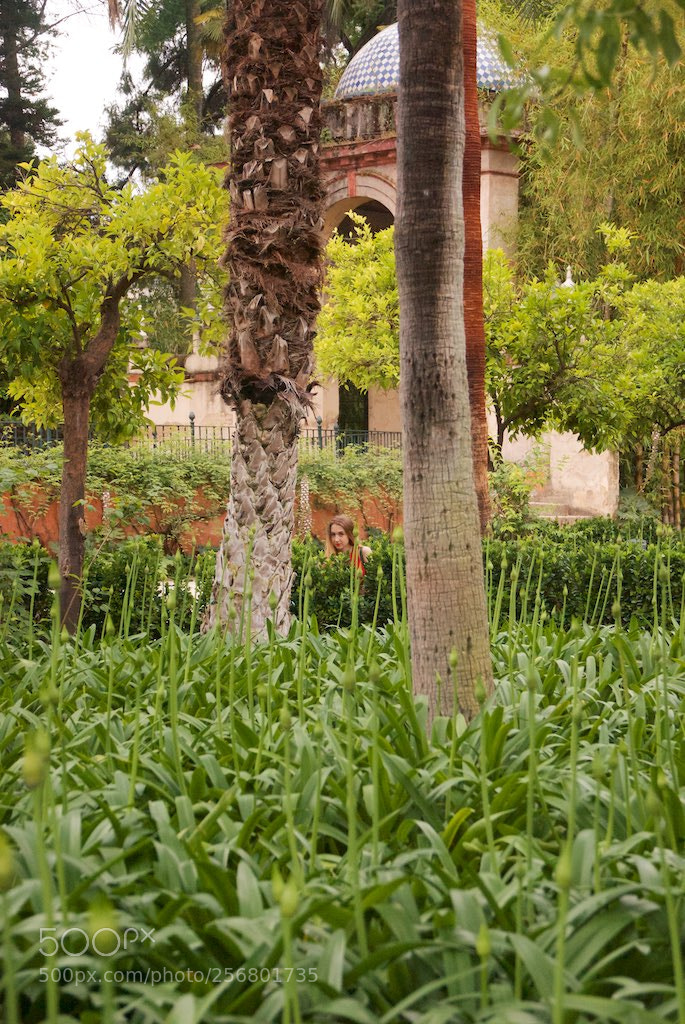 Nikon D60 sample photo. Version photography