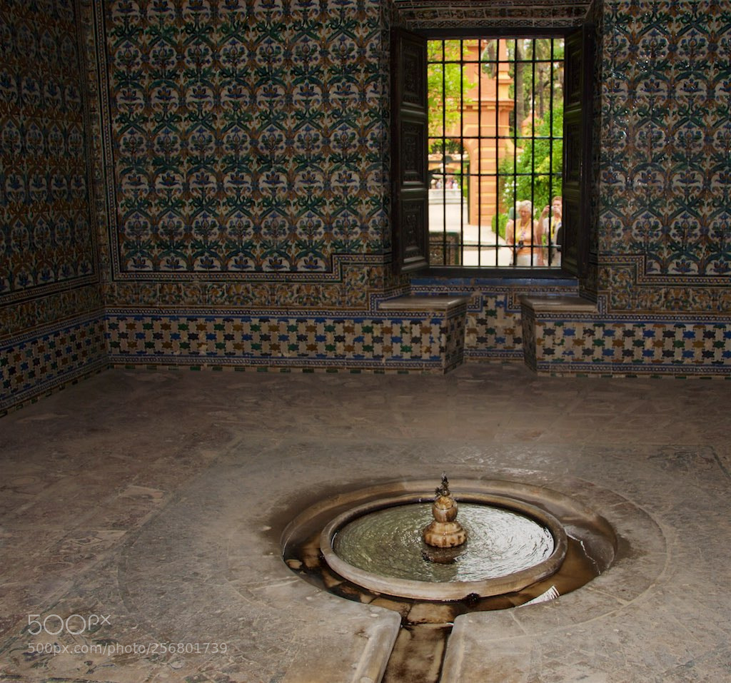 Nikon D60 sample photo. Version photography