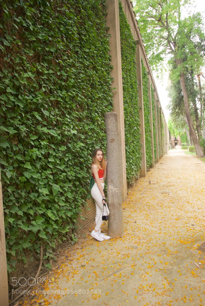 Nikon D60 sample photo. Version photography
