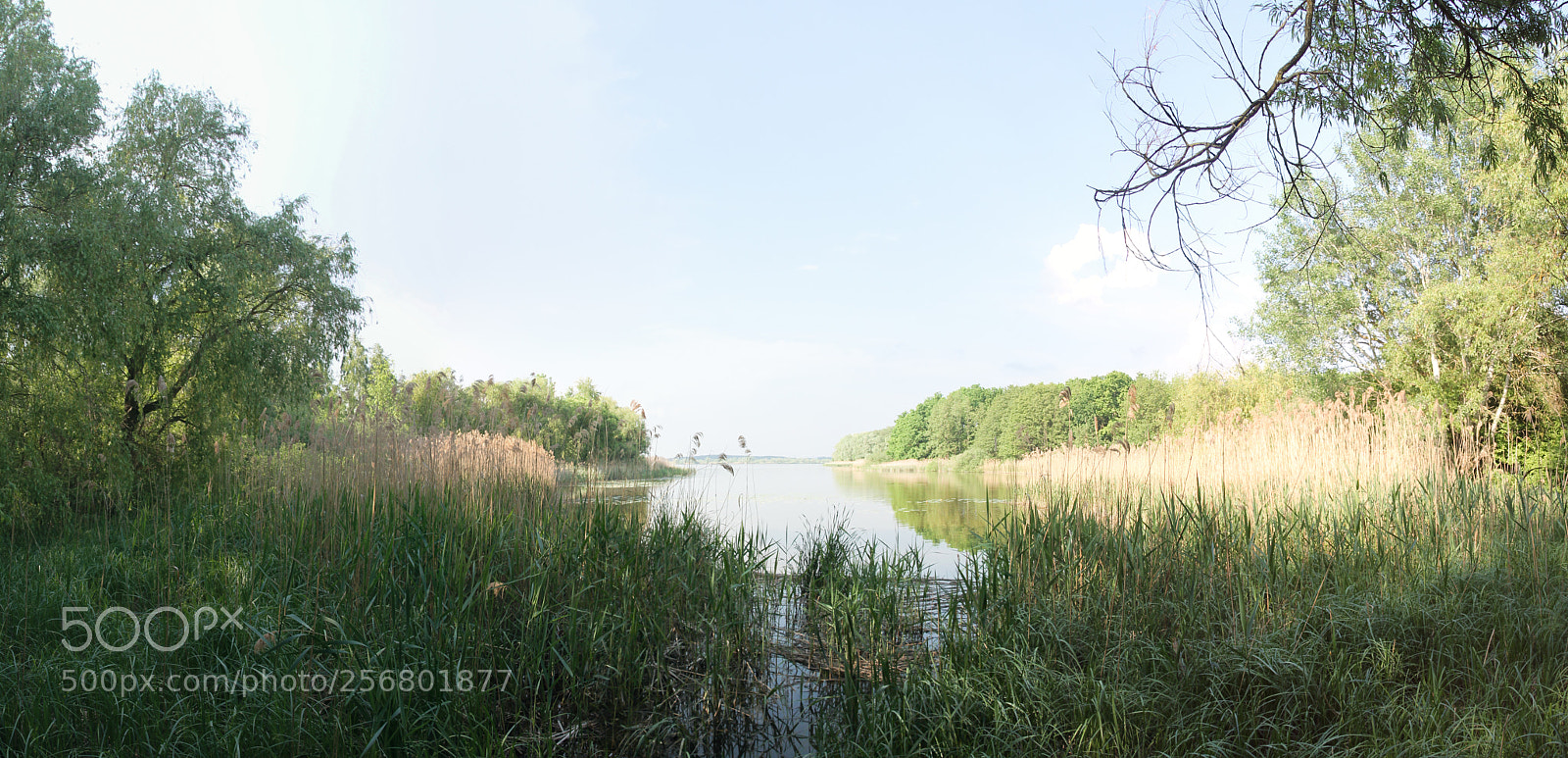 Canon EOS 1100D (EOS Rebel T3 / EOS Kiss X50) sample photo. Pano photography
