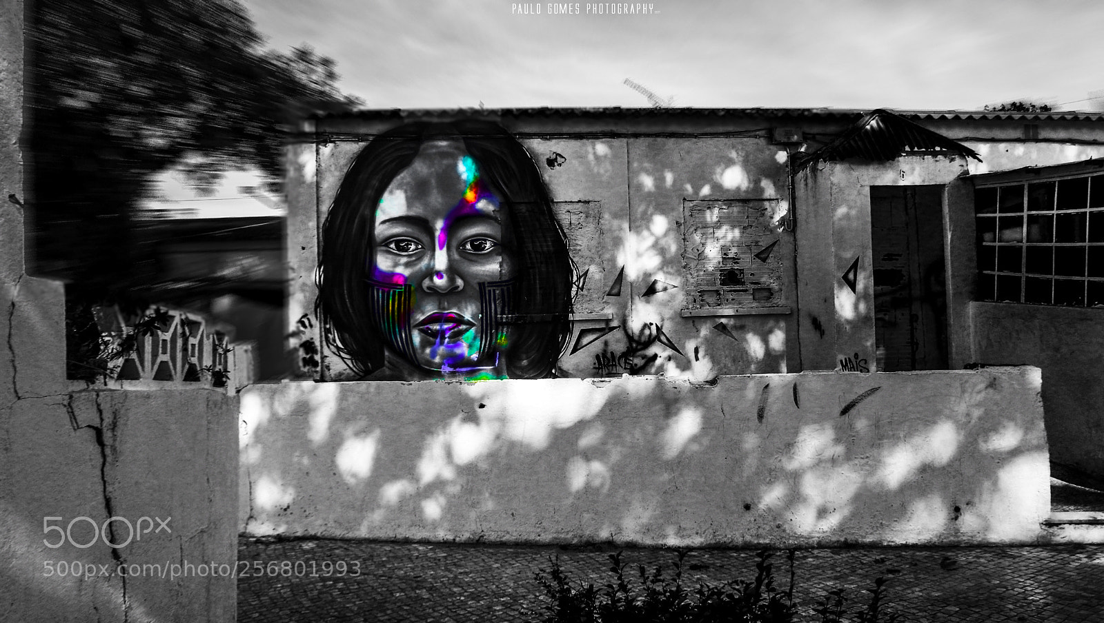 Nikon 1 J5 sample photo. A aventura da crian photography