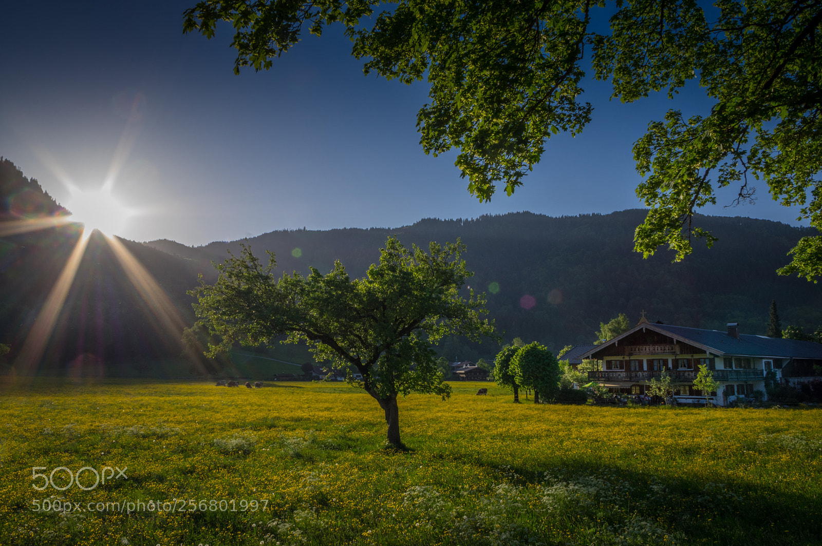 Pentax K-3 II sample photo. Frühling im tal photography