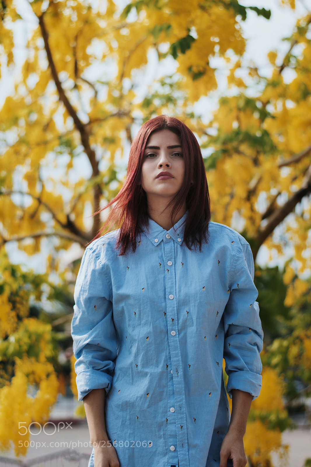 Nikon D3400 sample photo. Processed with vsco with photography