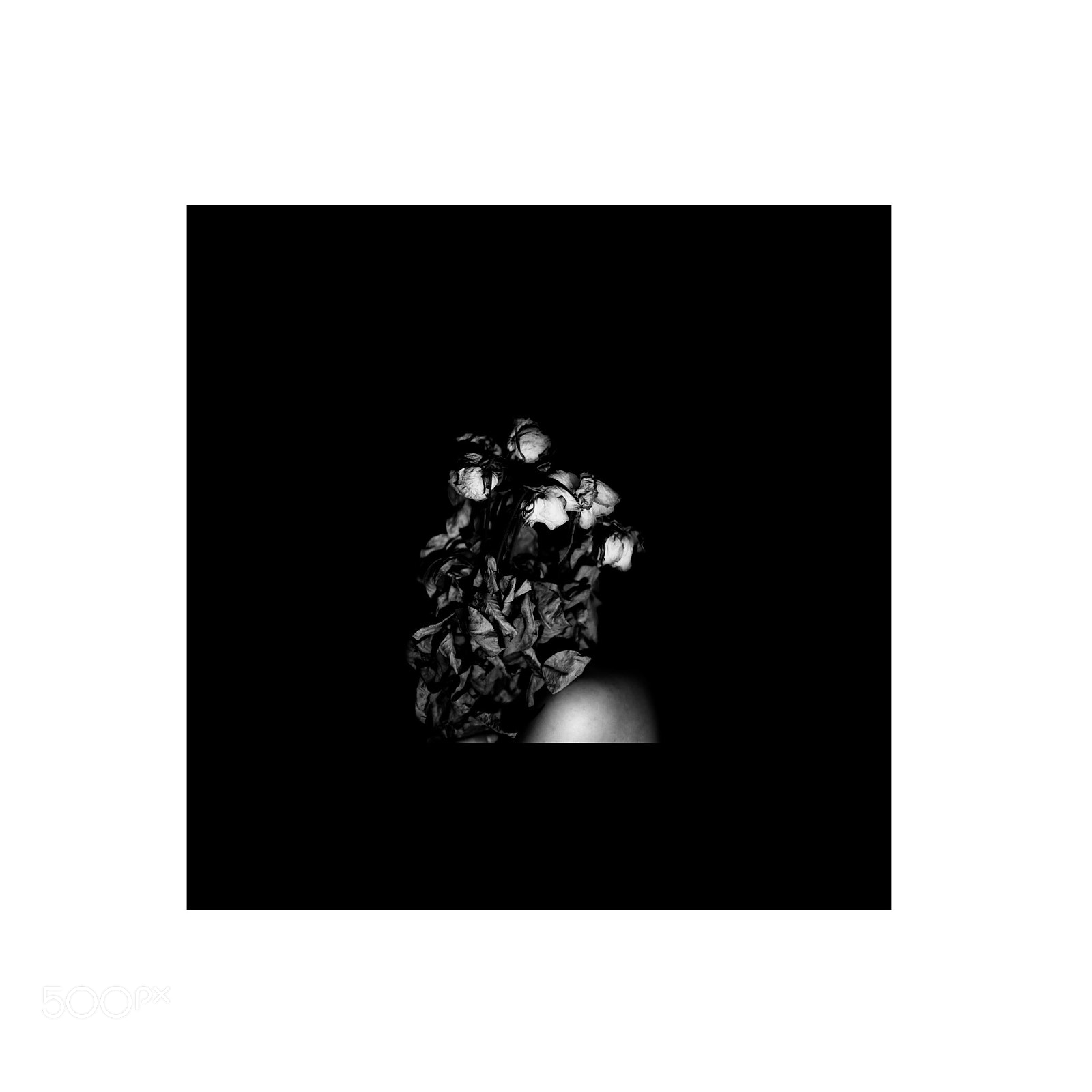 Canon EOS 6D sample photo. Wilted photography