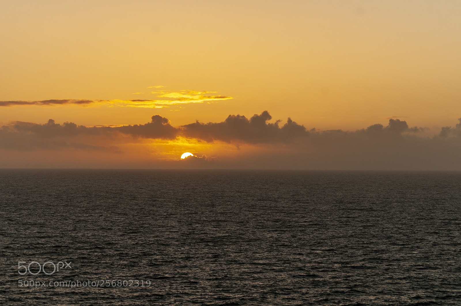 Nikon D300S sample photo. Sunseta photography