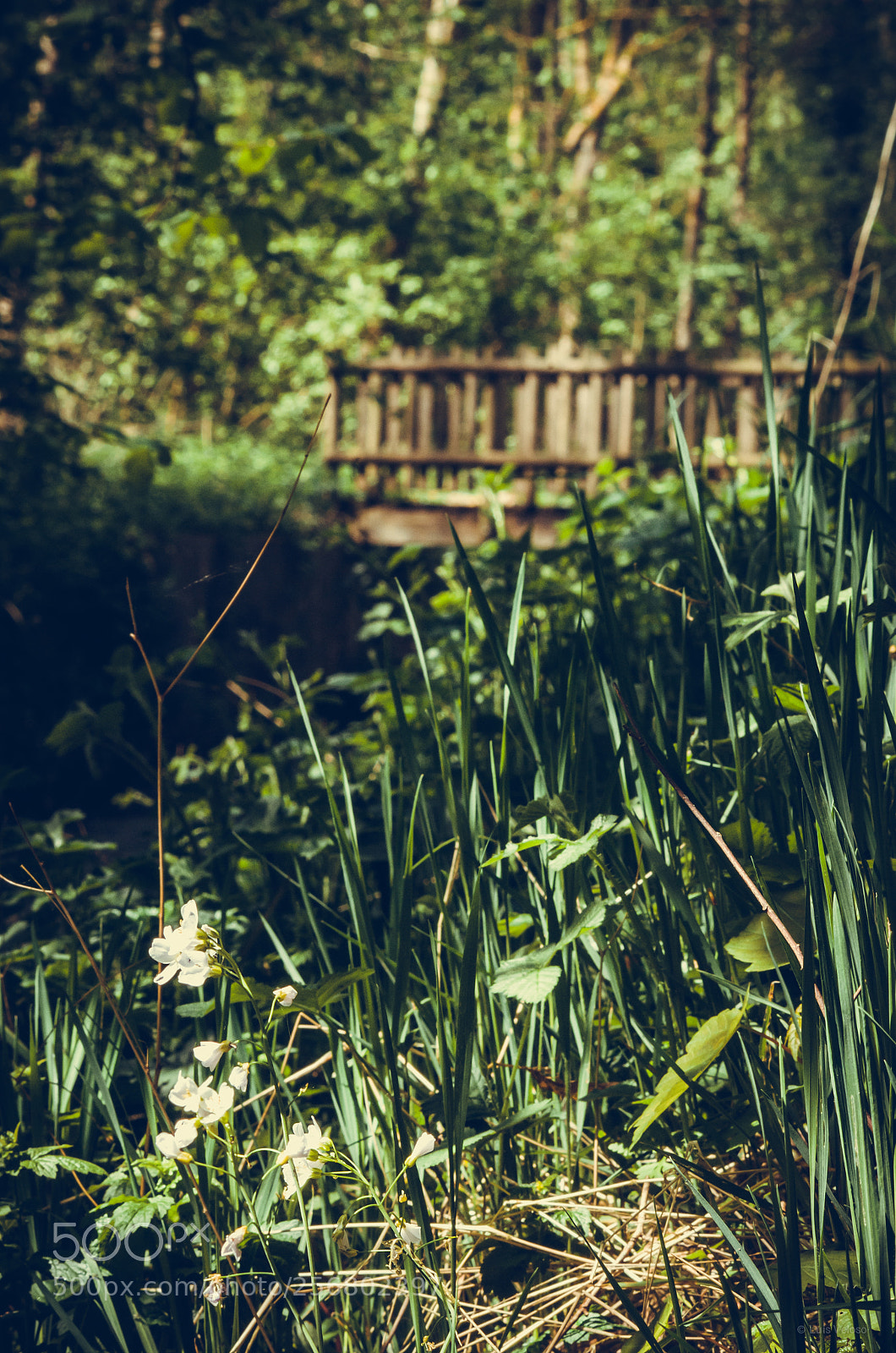 Pentax K-30 sample photo. Spring morning photography