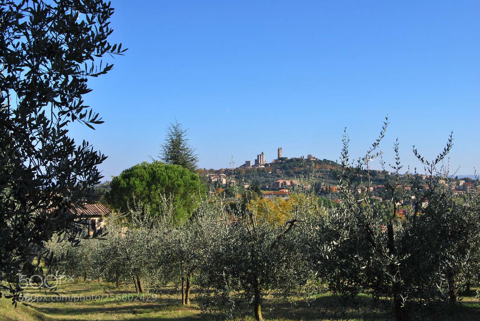 Nikon D60 sample photo. Version photography