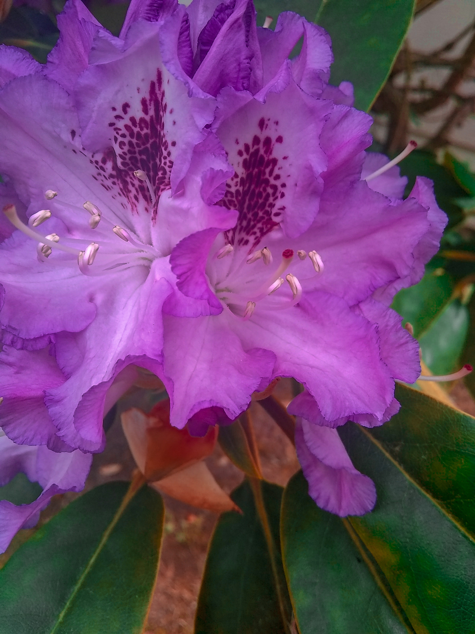 Motorola Moto E4 sample photo