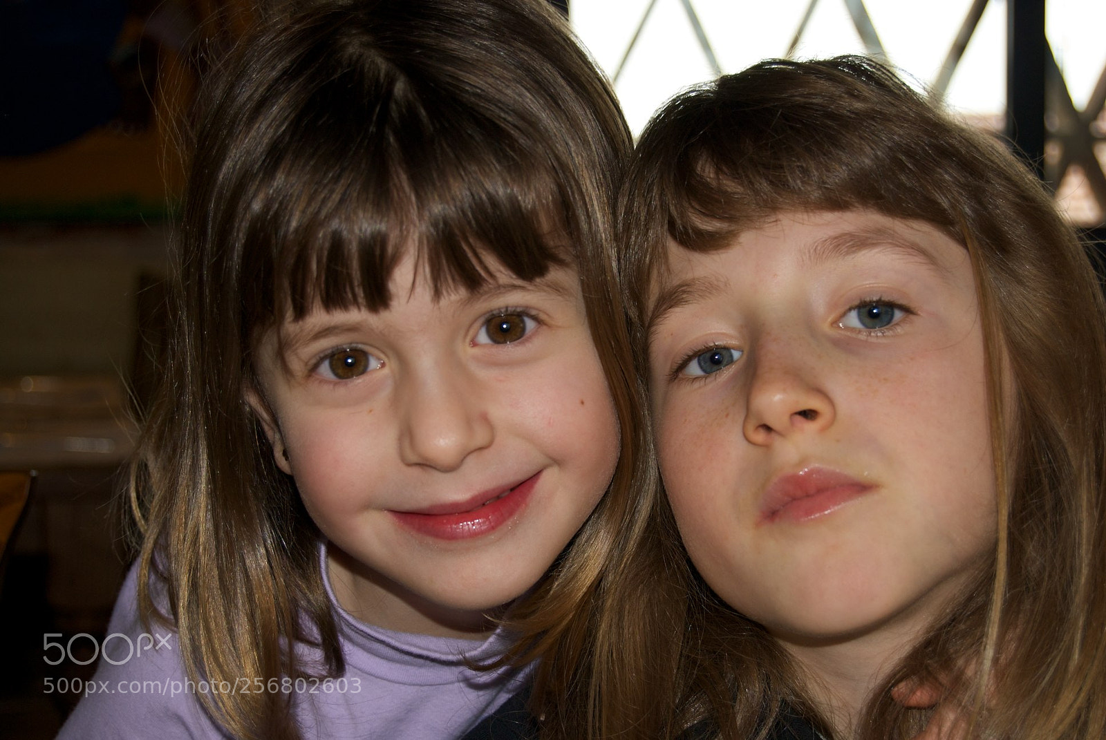 Nikon D60 sample photo. Version photography