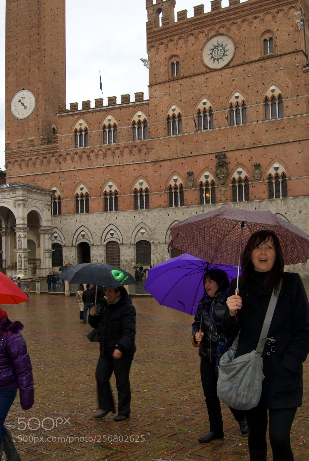 Nikon D60 sample photo. Version photography