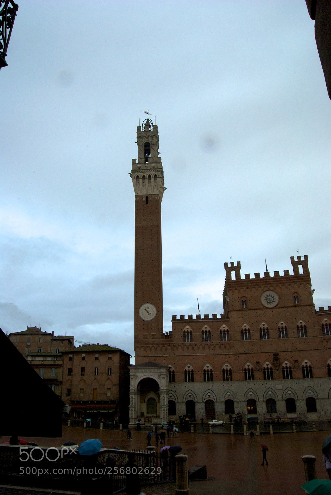 Nikon D60 sample photo. Version photography