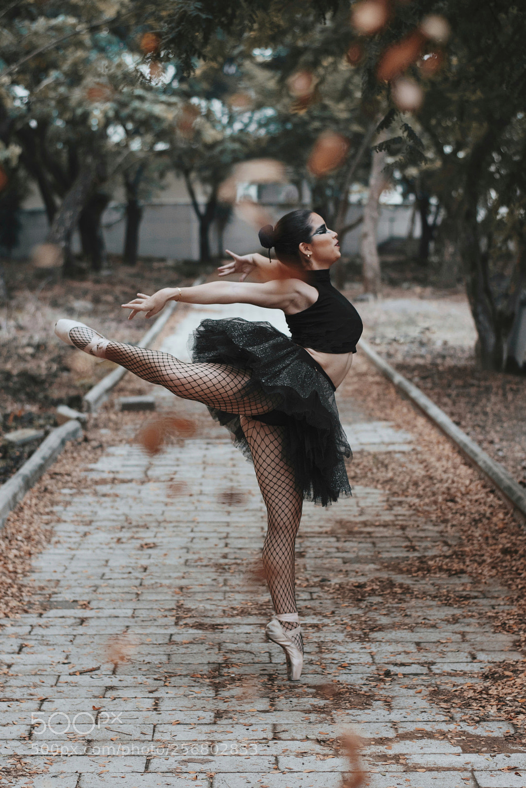 Nikon D3400 sample photo. Processed with vsco with photography