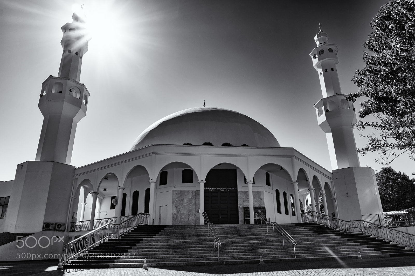 Sony a6300 sample photo. Mesquita photography