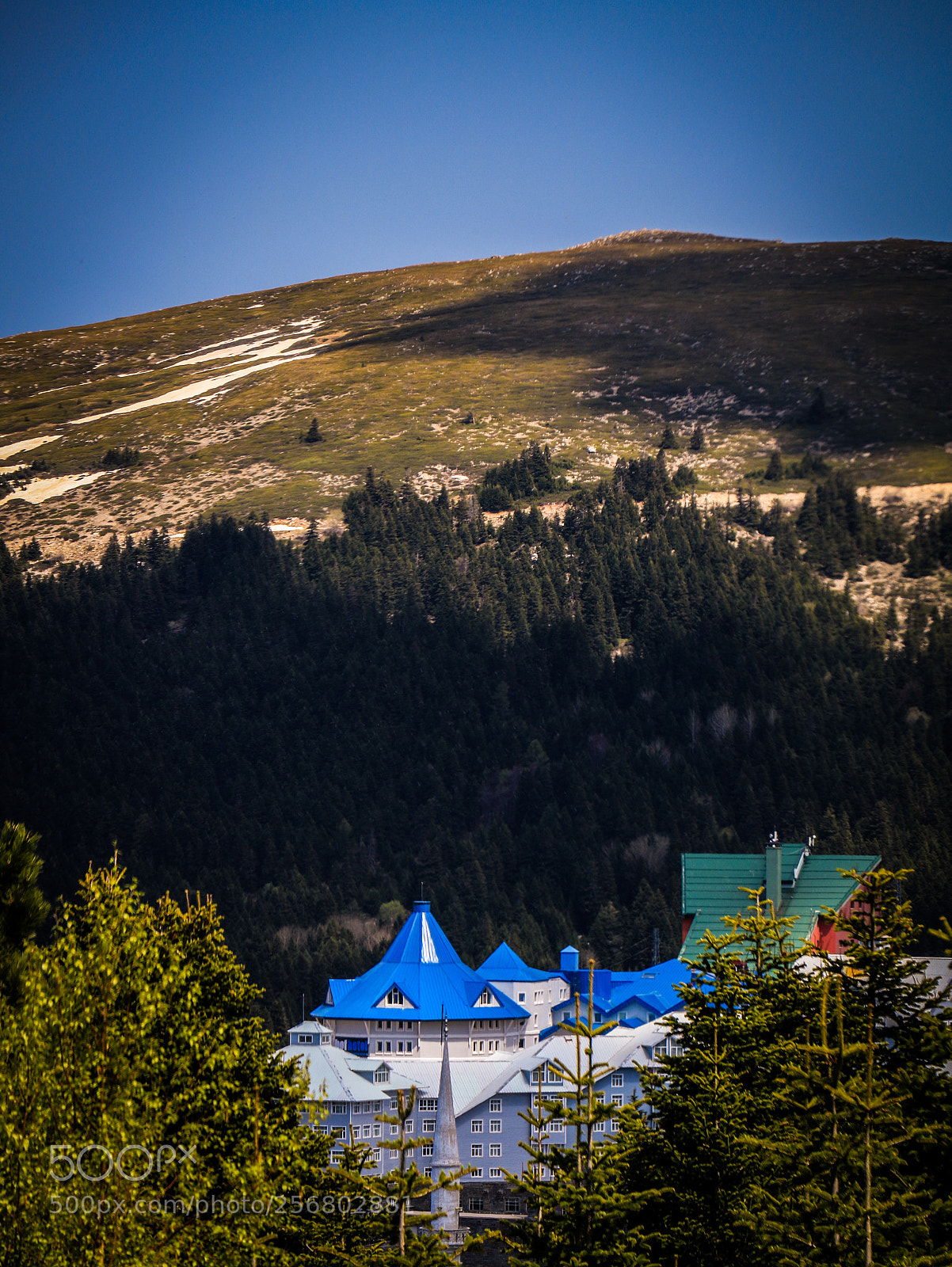 Canon EOS 750D (EOS Rebel T6i / EOS Kiss X8i) sample photo. Untitled photography